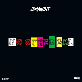 Artwork: Shawbit - No Other Gal